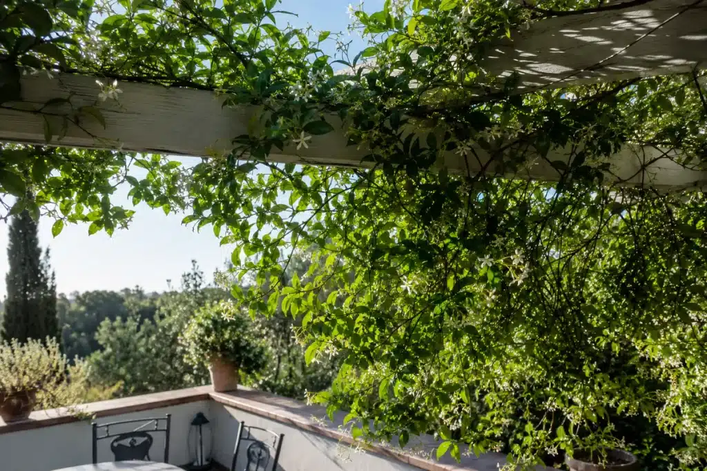 ombrager une terrasse plein sud avec une voile d'ombrage tendue au-dessus du coin repa